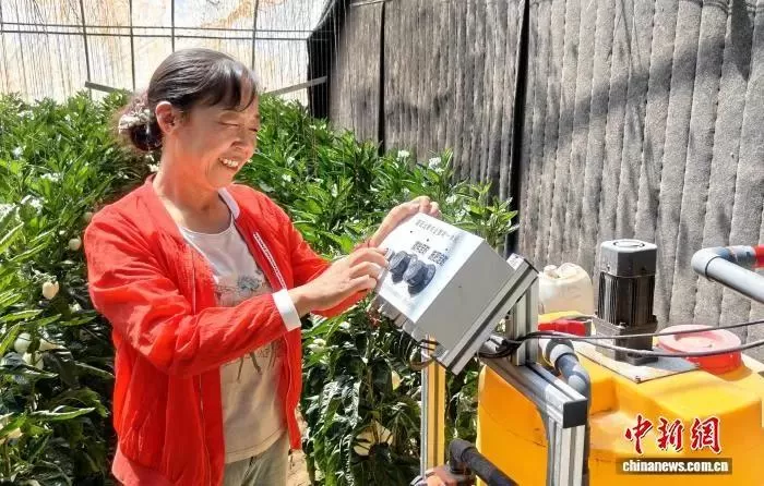 图为民勤种植户运用智能水肥一体化系统,实现农作物科学精准灌溉施肥。(资料图)马爱彬 摄